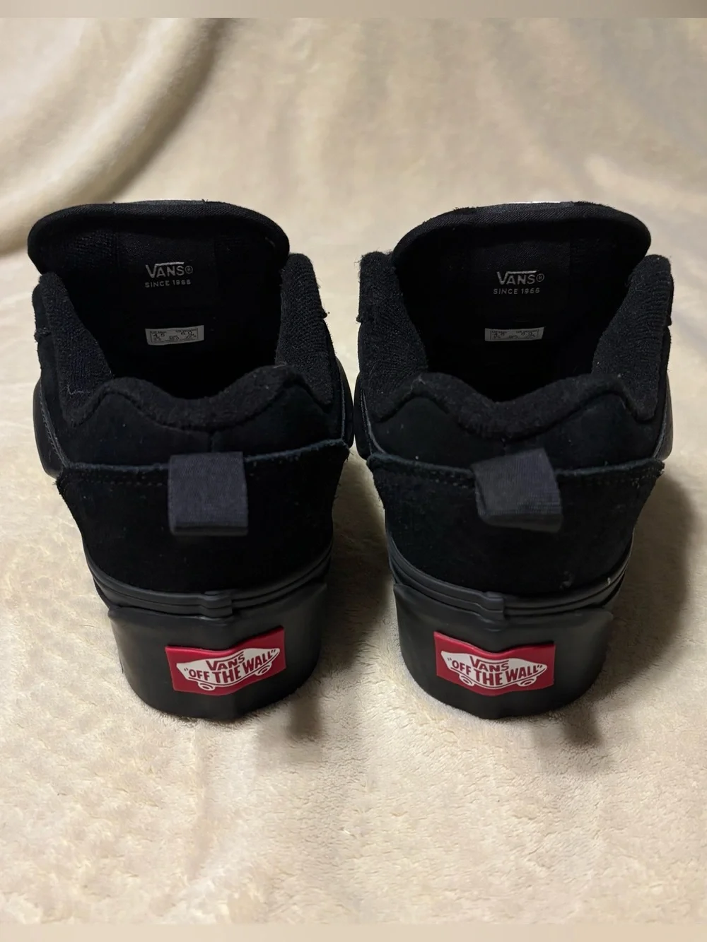 Vans Black Low-Top Suede Skate Sneakers